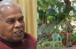 Latest flashpoint in Bihar politics: Mango trees in Manjhi’s backyard!